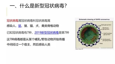 商品车运输 第158页