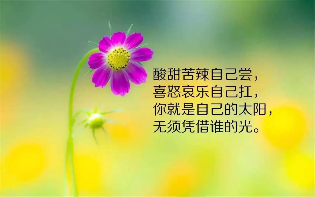 青岛金日达 第145页