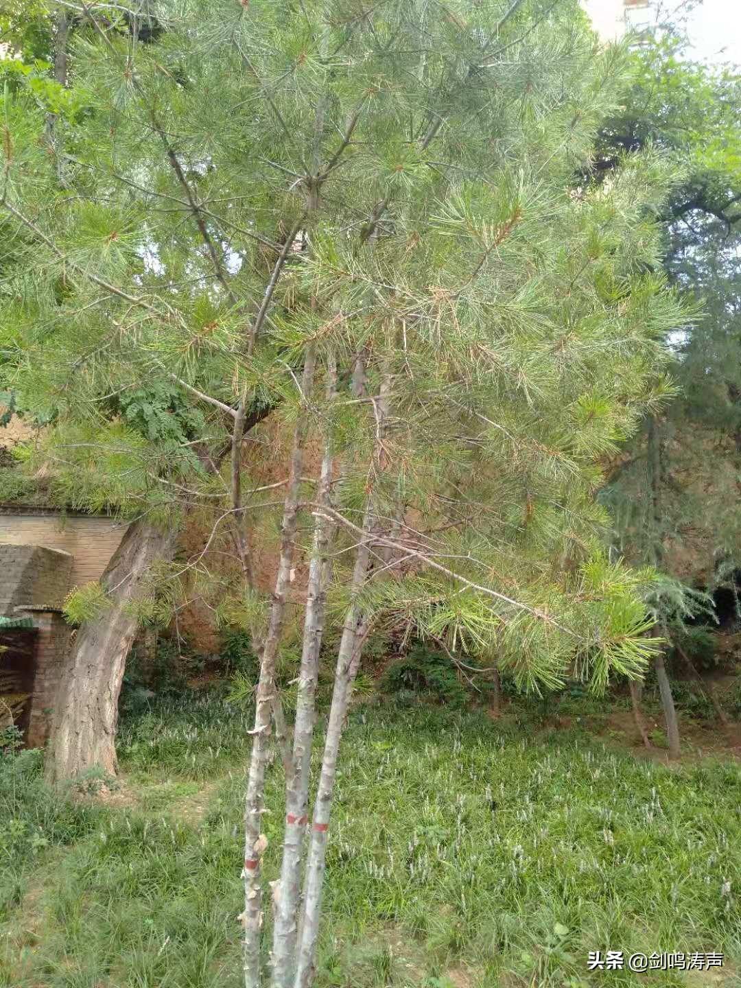 运输服务 第89页