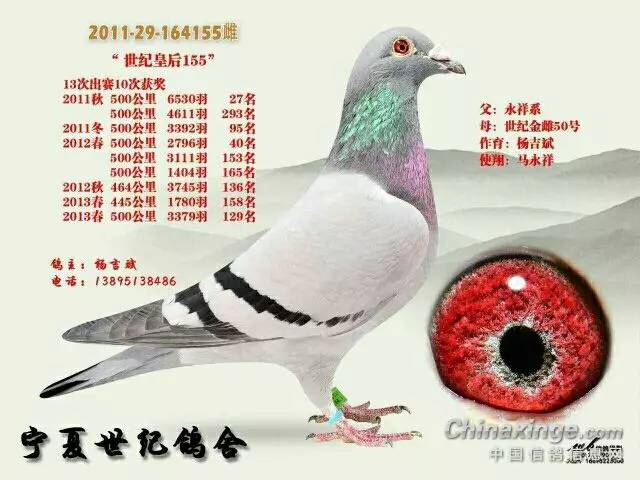 商品车运输 第75页