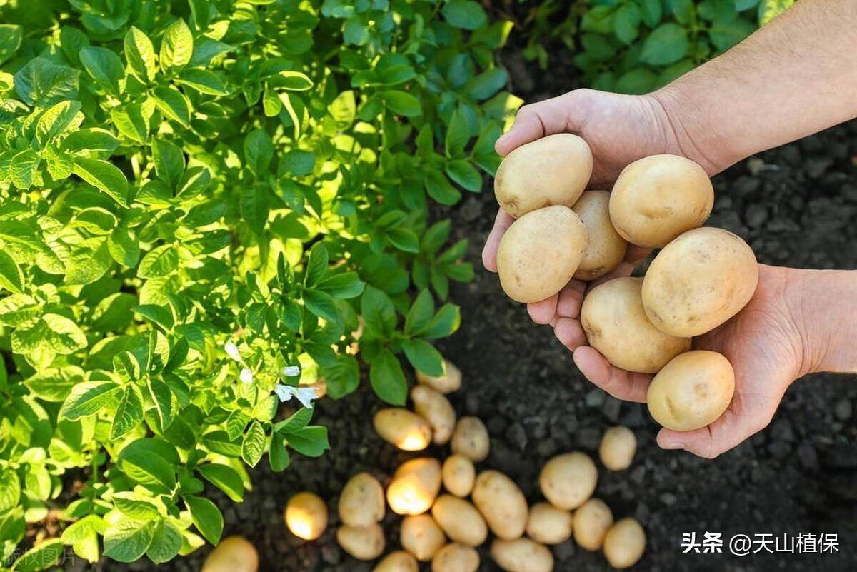 商品车运输 第68页