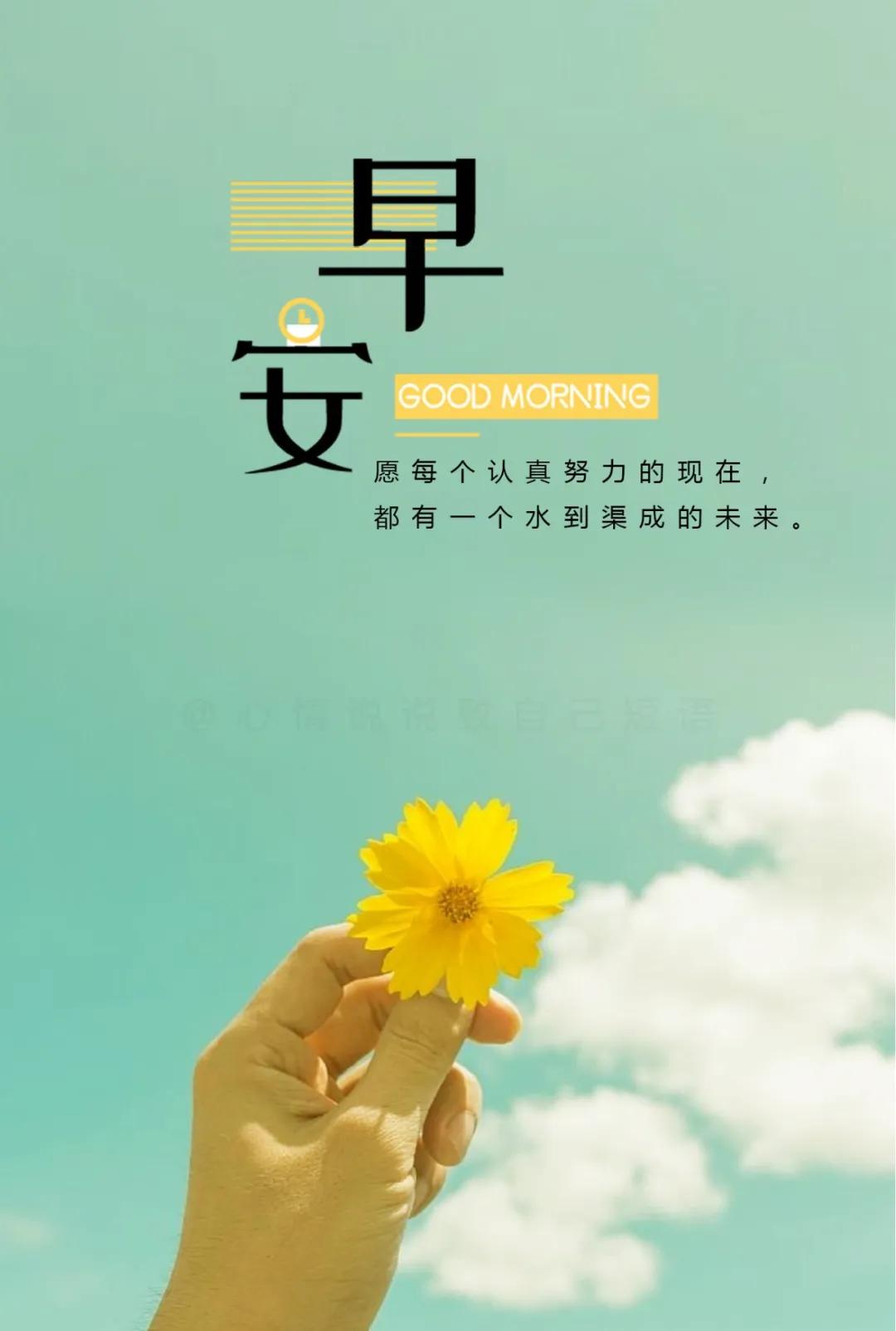 运输服务 第33页