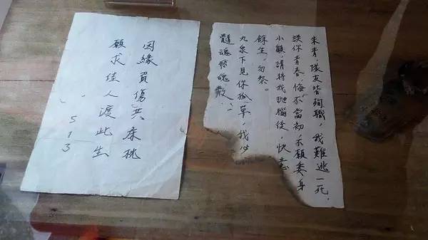 朱青最新动态，探索前沿，领略无限可能的风采