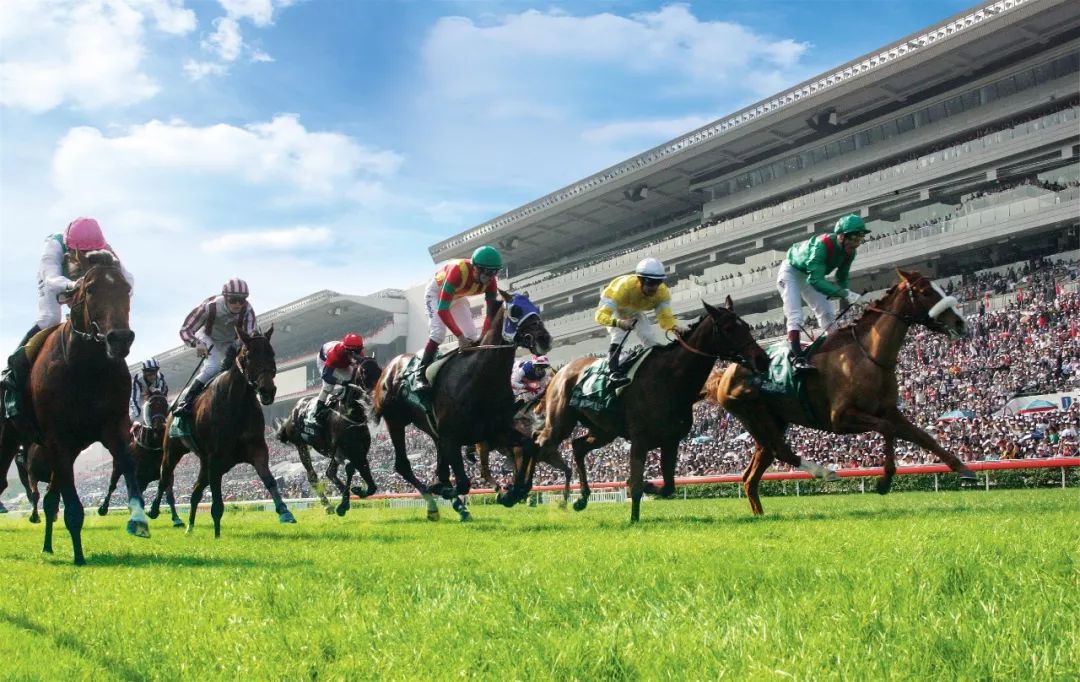 全球赛马赛事动态速递一网打尽！最新赛事进展全解析🐎