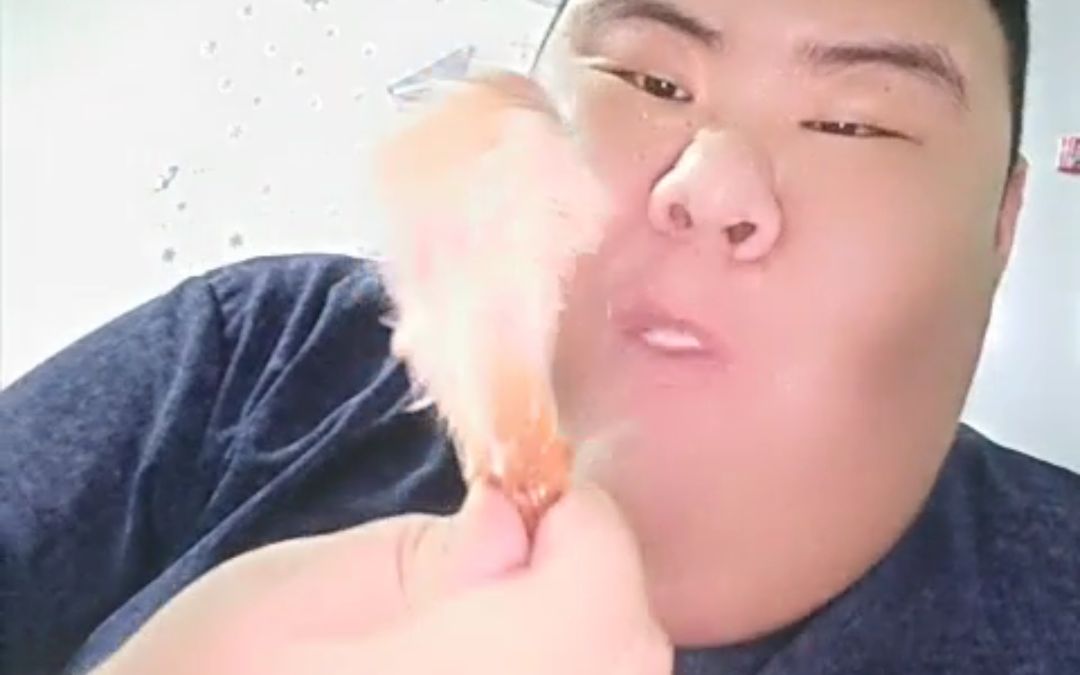 猪哥最新历程，一路学习，自信闪耀的旅程