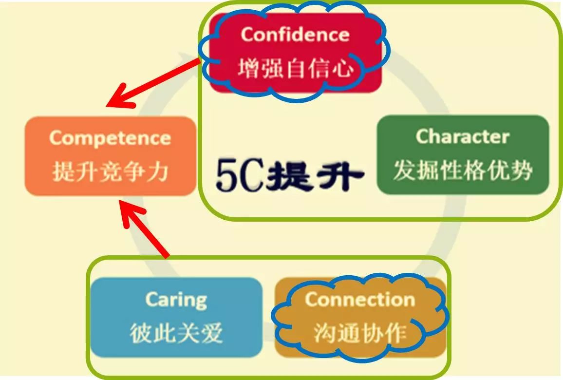 Fox最新动态，探索变化中的学习之旅，自信成就源于此