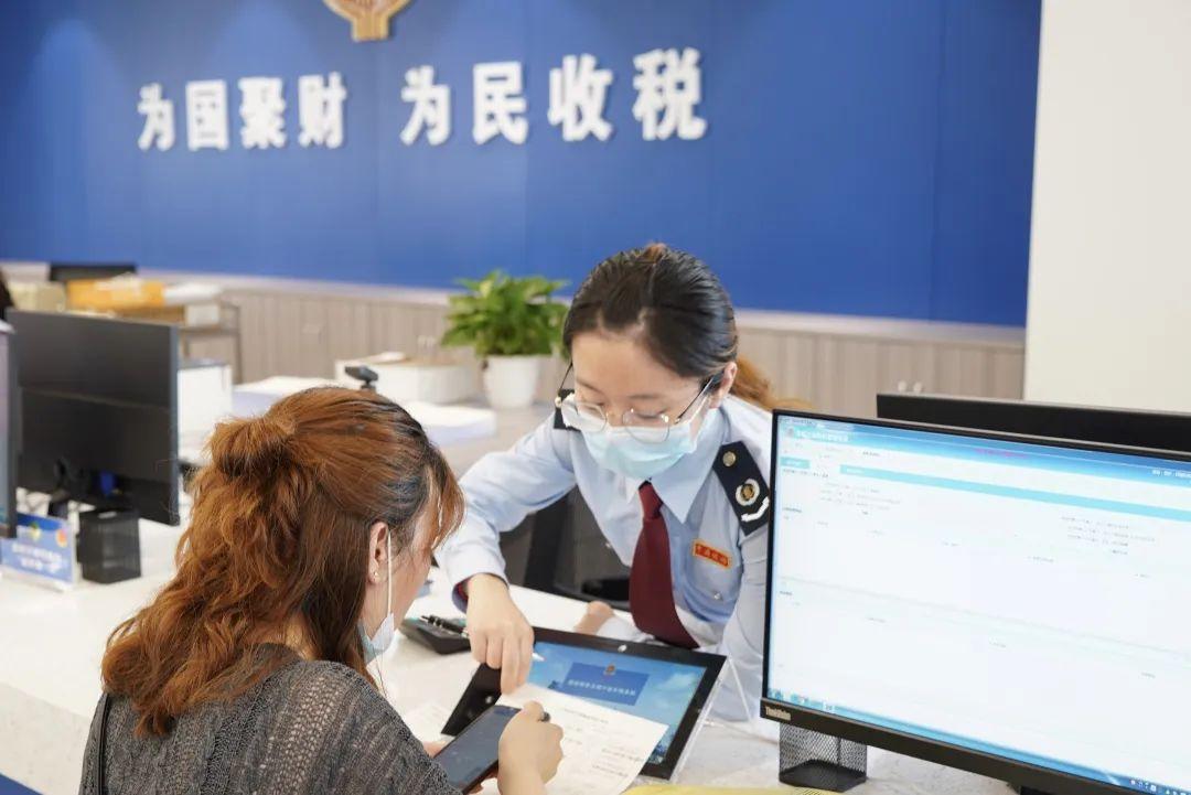 最新税费政策与改革动态解析