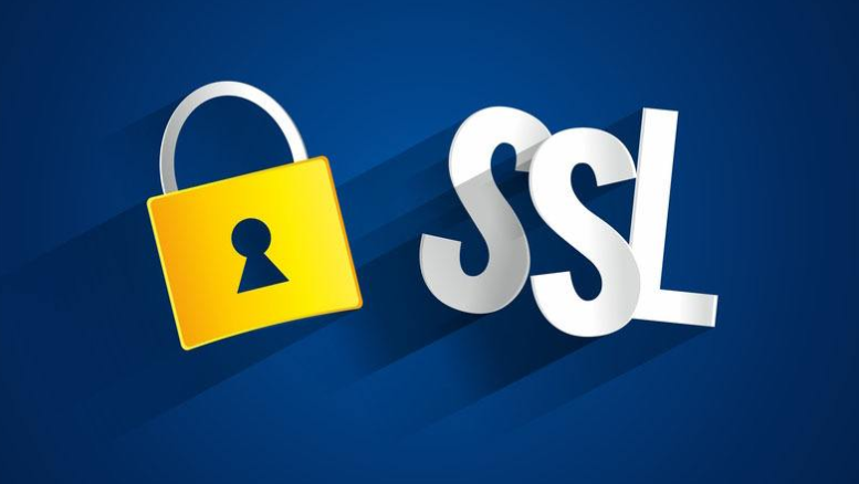 SSL最新动态，数字时代网络安全前沿探索